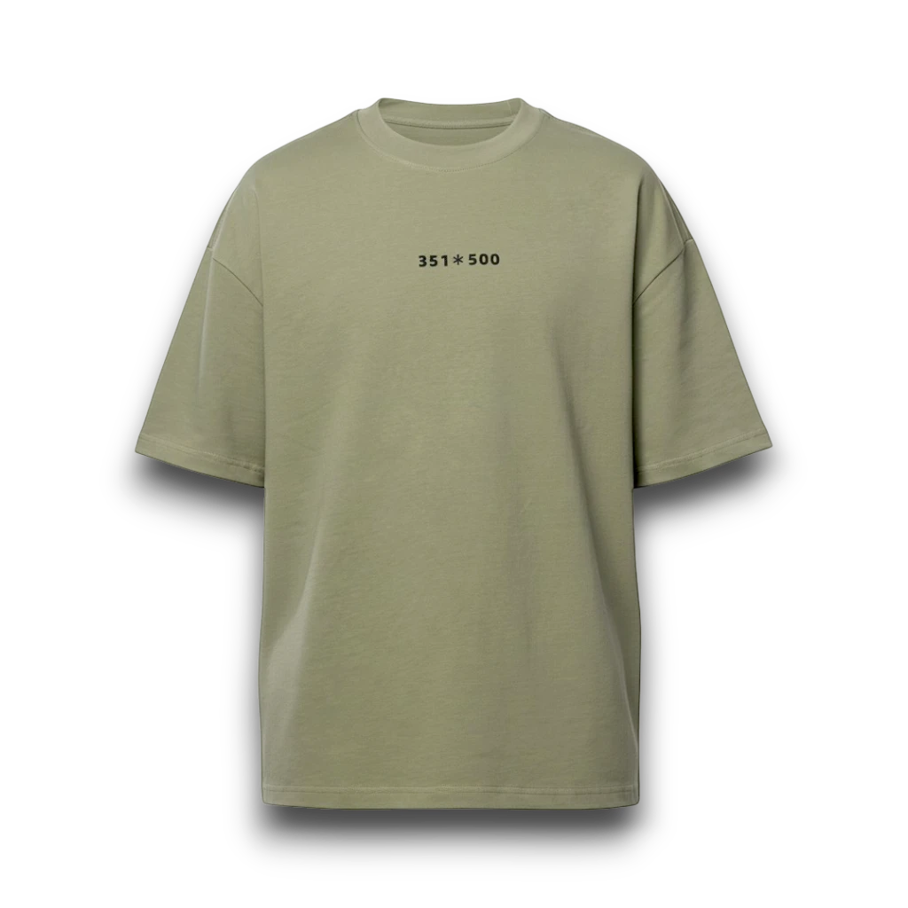 NESHOW oversized sage green cotton t-shirt with random number print on front and logo on back.